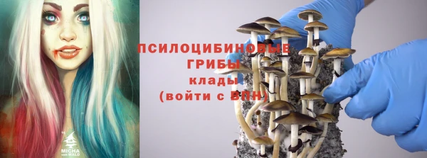 ешки Бронницы