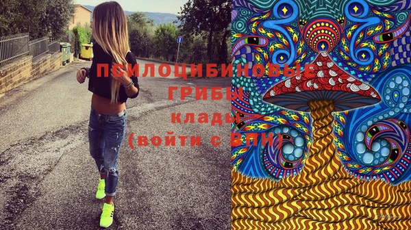 дурь Бородино