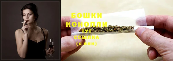 дурь Бородино