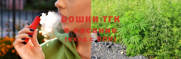 дурь Бородино