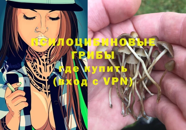 мяу мяу мука Алапаевск