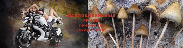 ALPHA PVP Белокуриха