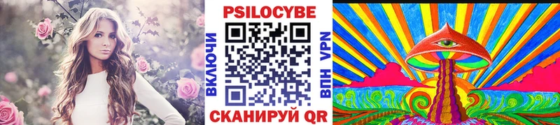 блэк спрут маркетплейс  Волосово  Галлюциногенные грибы GOLDEN TEACHER 